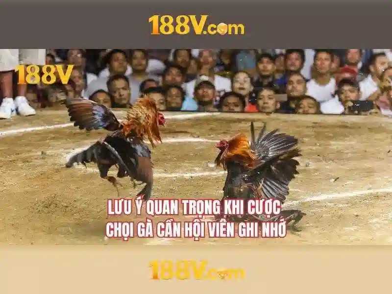Khám phá 188V Giao diện nhà cái hoàn hảo