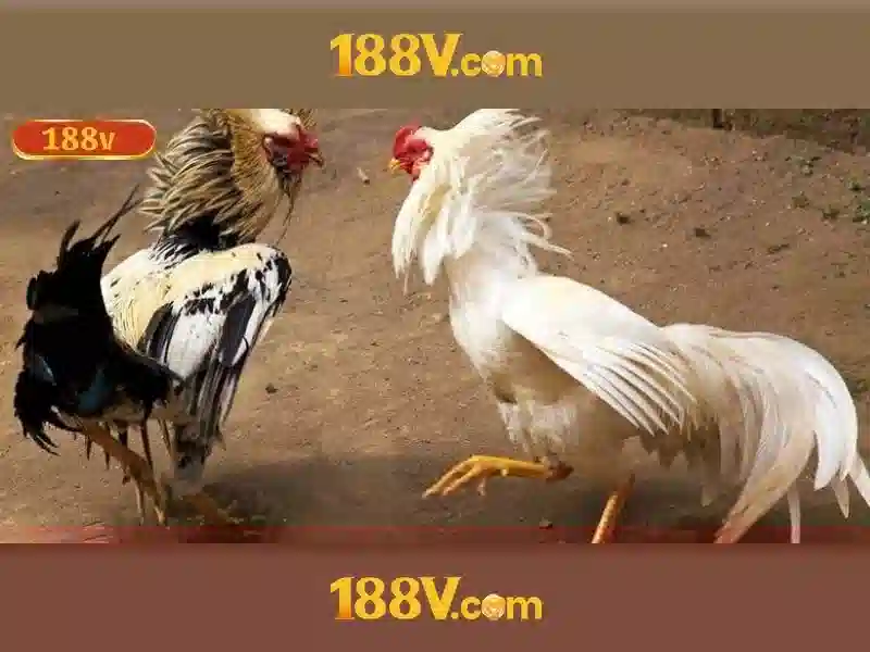 Cac san pham va dich vu cua 188v nap tien