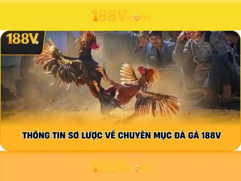 Cuộc sống và bóng đèn ở 188v