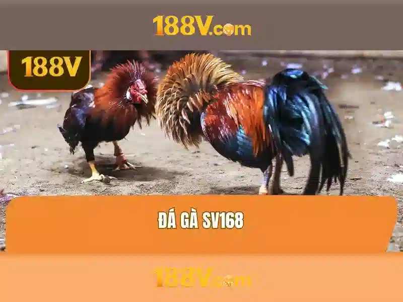 Khái niệm 188V và tầm quan trọng của nó trong công nghệ Giao diện nhà cái hoàn hảo