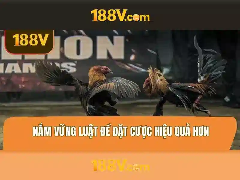 Giao diện nhà cái hoàn hảo