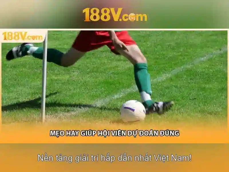 188V và khái niệm cơ bản\n<p><span style=