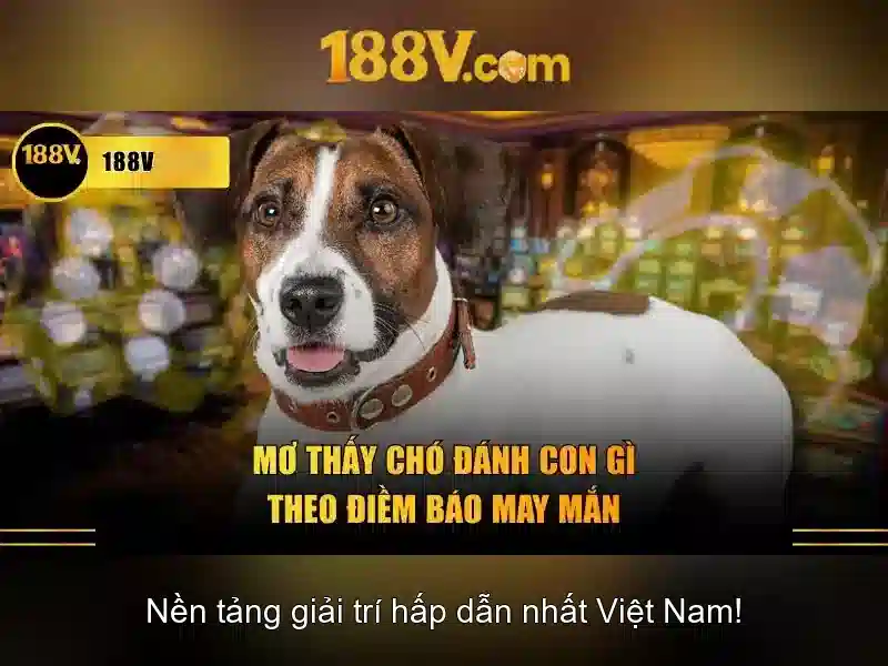 Giao diện nhà cái hoàn hảo