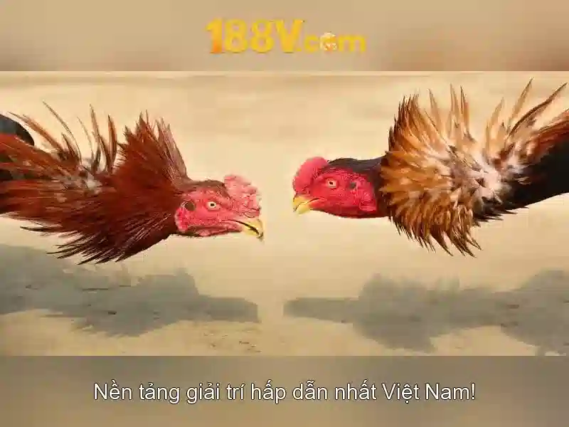 Giao diện nhà cái hoàn hảo