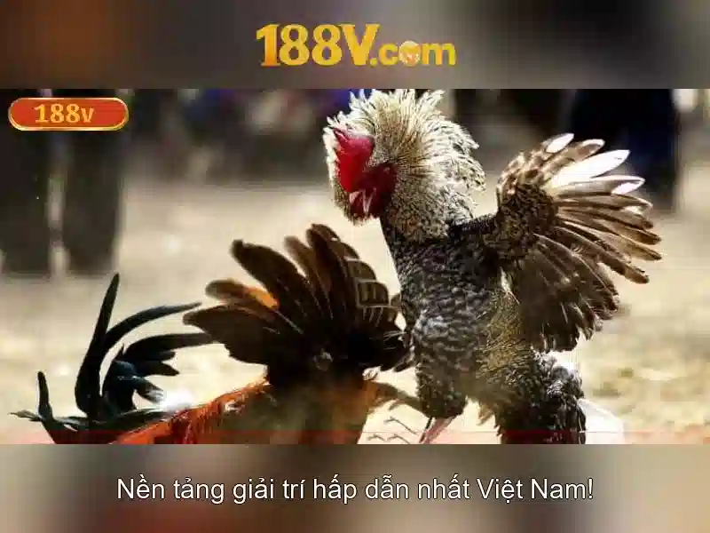 Giao diện nhà cái hoàn hảo