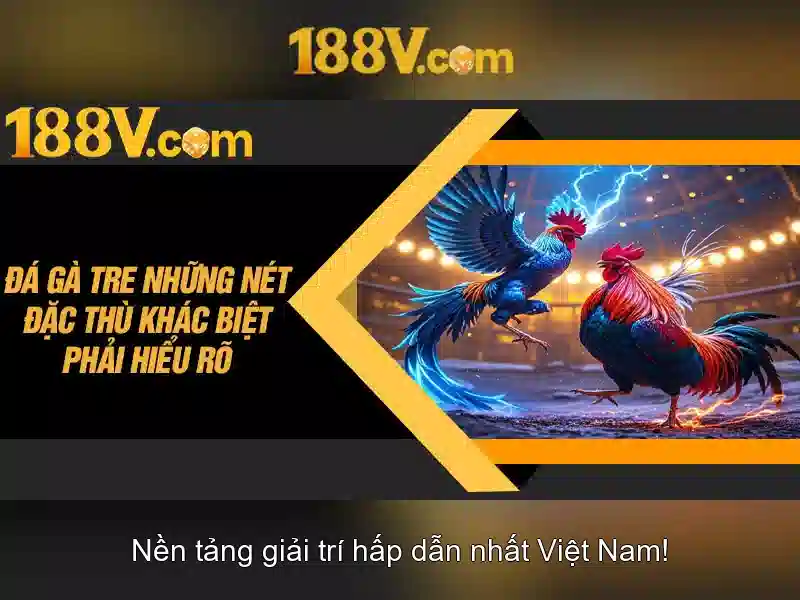 Giao diện nhà cái hoàn hảo