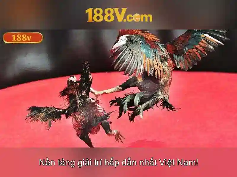 Giao diện nhà cái hoàn hảo