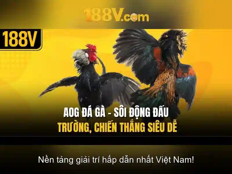 Chỉ số an toàn và hiệu suất