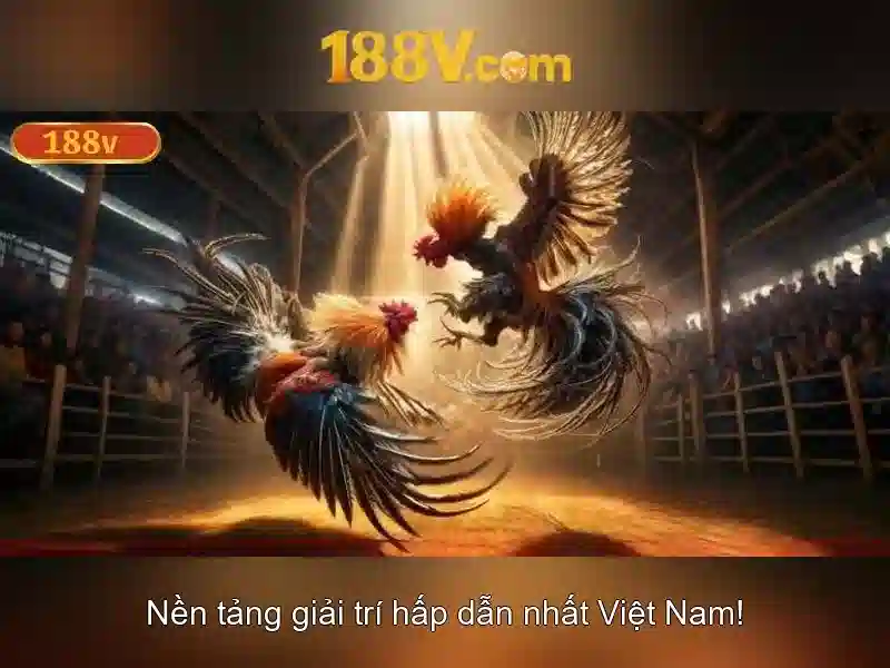 188v nhà cái – Tổng quan chủ đề và giá trị cốt lõi