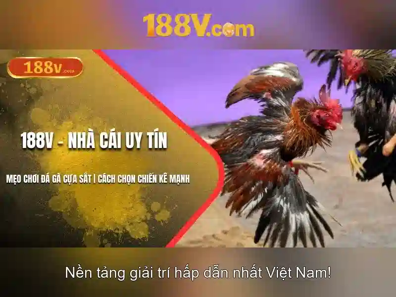 Giao diện nhà cái hoàn hảo
