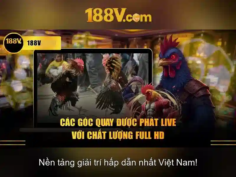 188v: khái niệm, nguồn gốc và tác động Giao diện nhà cái hoàn hảo