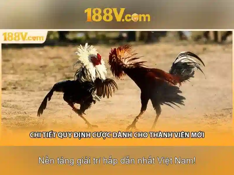 Ứng dụng và tác động