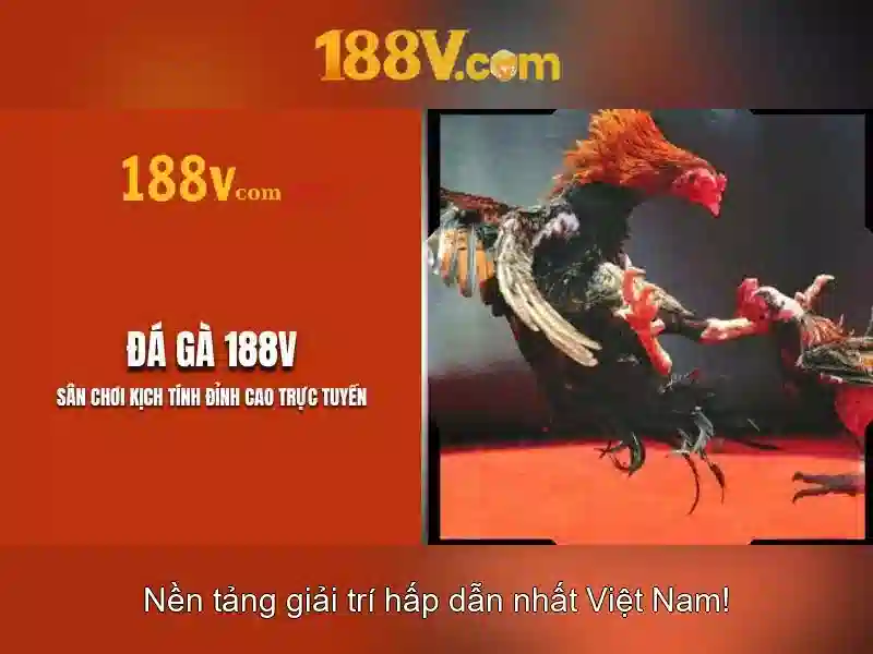 <!--IMG_PLACEHOLDER alt>Nguồn gốc và sứ mệnh của tại 188v-->