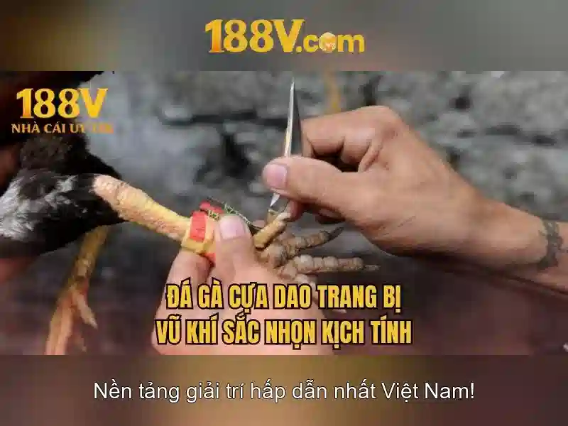 Lịch sử và ý nghĩa của 188v