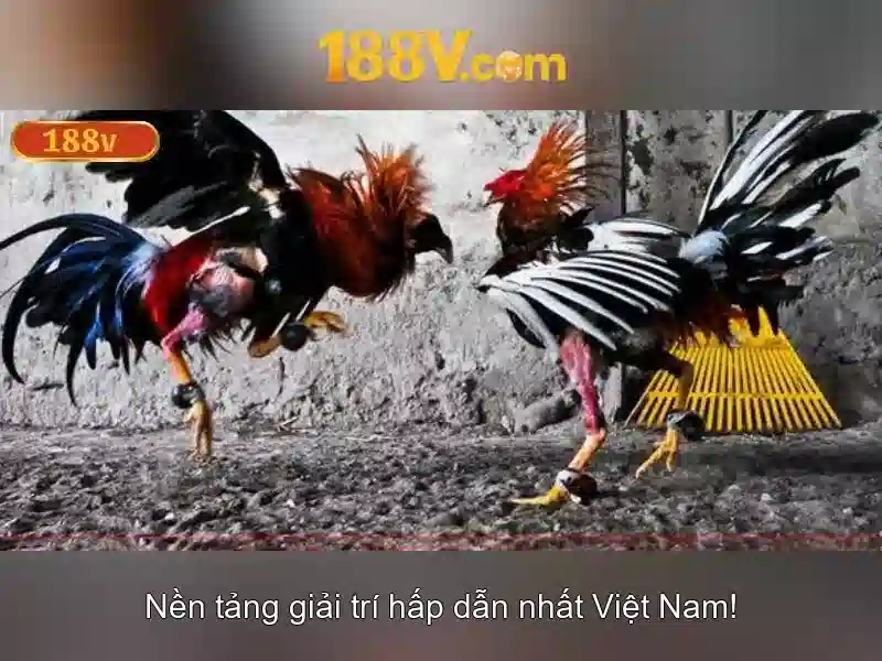 Cơ chế và Ứng dụng