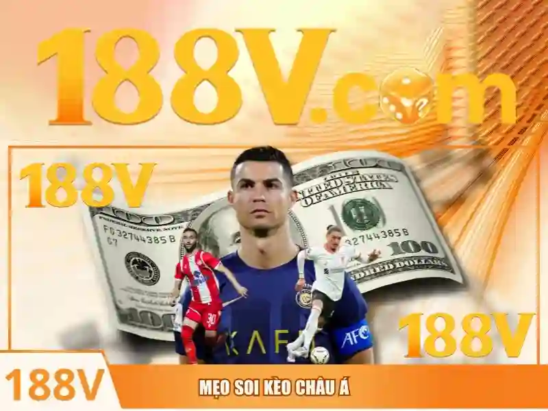 Trải nghiệm người dùng và phản hồi từ cộng đồng