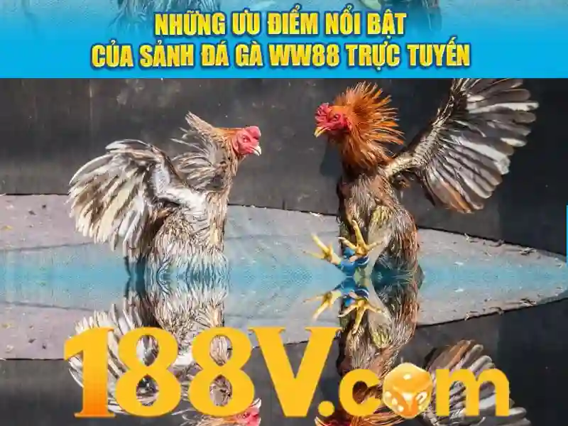 Quy trình thu thập và xử lý dữ liệu người dùng tại 188v